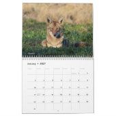 Agenda - 2018 - Middelgroot b Kalender (Jan 2027)