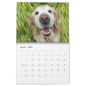Agenda 2018 ParkerPup Kalender (Mar 2027)