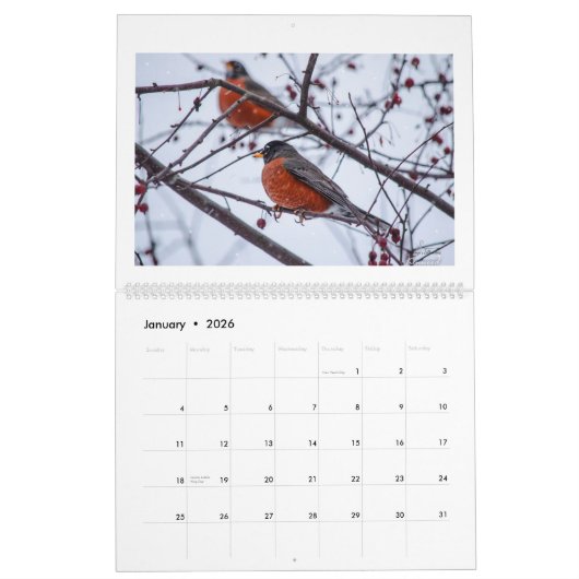 Agenda 2018 van IgersCincinnati Kalender (Jan 2026)