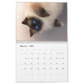 Agenda 2019 - Alles over katten! Kalender (Feb 2027)