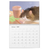 Agenda 2019 - Alles over katten! Kalender (Jan 2027)