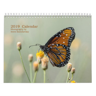 Agenda 2019, Fotografie door Steve Borichevsky Kalender