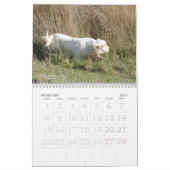 Agenda 2019 van Erinveine - Clumber-Spanjaarden Kalender (Feb 2027)