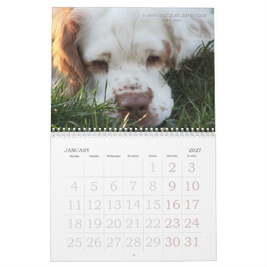 Agenda 2019 van Erinveine - Clumber-Spanjaarden Kalender (Jan 2027)