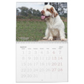 Agenda 2019 van Erinveine - Clumber-Spanjaarden Kalender (Mar 2027)