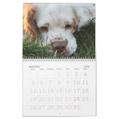 Agenda 2019 van Erinveine - Clumber-Spanjaarden Kalender (Jan 2026)