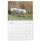 Agenda 2019 van Erinveine - Clumber-Spanjaarden Kalender (Feb 2026)