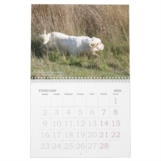 Agenda 2019 van Erinveine - Clumber-Spanjaarden Kalender (Feb 2026)