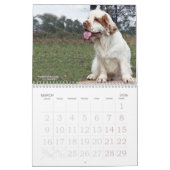 Agenda 2019 van Erinveine - Clumber-Spanjaarden Kalender (Mar 2026)