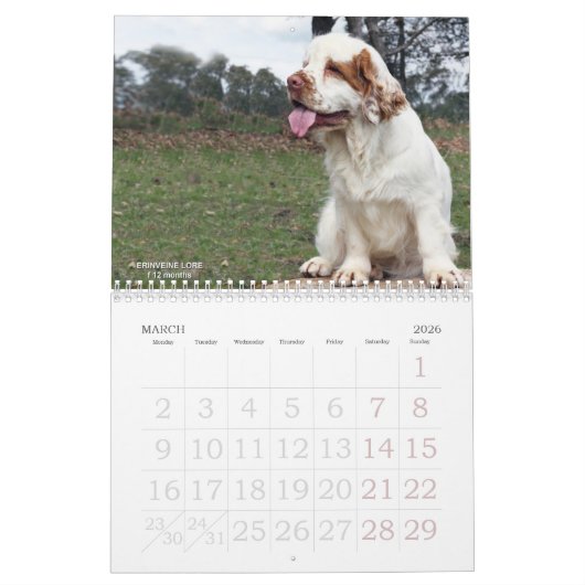 Agenda 2019 van Erinveine - Clumber-Spanjaarden Kalender (Mar 2026)