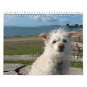 Agenda 2019 van Gwendolyn - Middelgroot Kalender (Hoes)