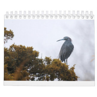 Agenda 2020 kalender