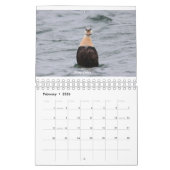 Agenda 2020 kalender (Feb 2026)