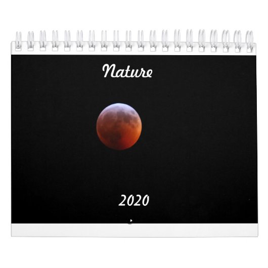 Agenda 2020 kalender (Hoes)