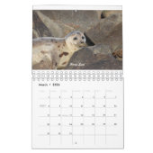 Agenda 2020 kalender (Mar 2026)