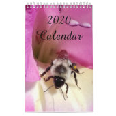 Agenda 2020 kalender (Hoes)