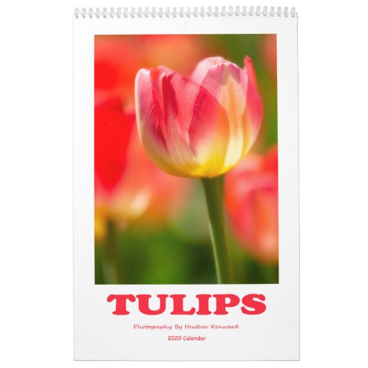 Agenda 2020 Tulps Kalender (Hoes)