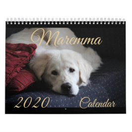 Agenda 2020 van Maremma Kalender