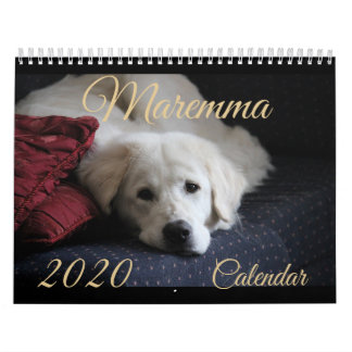 Agenda 2020 van Maremma Kalender