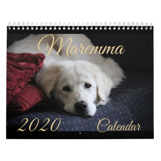 Agenda 2020 van Maremma Kalender (Hoes)
