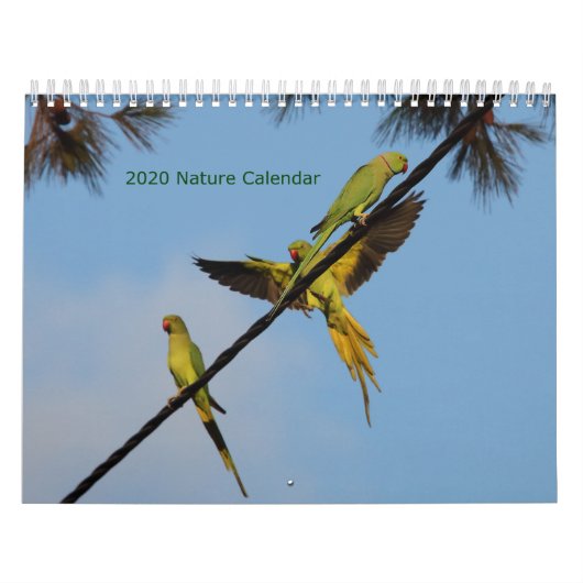 Agenda 2020 voor vogels en bloemen kalender (Hoes)