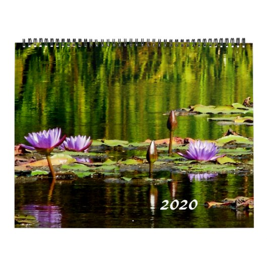 Agenda 2020 voor waterleidingen kalender (Hoes)