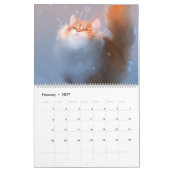 Agenda 2021 Alles over katten! Kalender (Feb 2027)