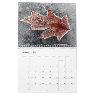 Agenda 2021 kalender