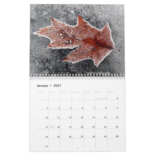 Agenda 2021 kalender (Jan 2027)