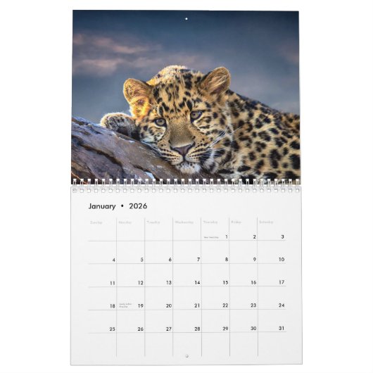 Agenda 2021 kalender (Jan 2026)