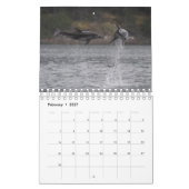 Agenda 2021 - Pacifische witte dolfijnen Kalender (Feb 2027)