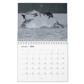 Agenda 2021 - Pacifische witte dolfijnen Kalender (Jan 2026)