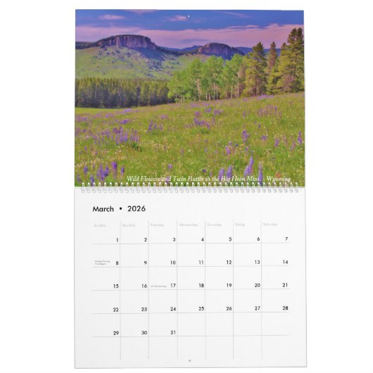 Agenda 2021 - Scott Bosworth Fotografie Kalender (Mar 2026)