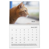 Agenda 2021 van Tabby Kalender (Mar 2027)