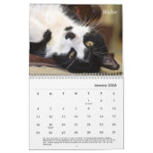 Agenda 2021 van Tabby Kalender (Jan 2026)