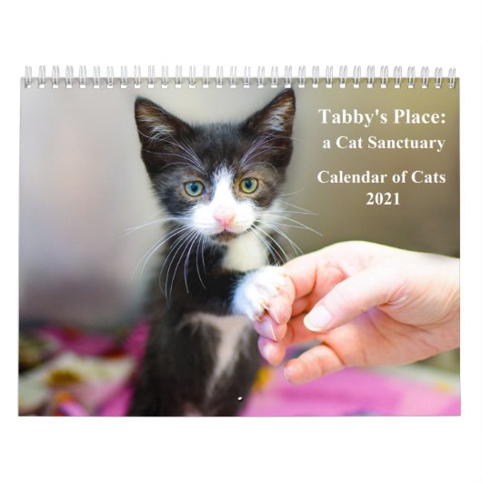 Agenda 2021 van Tabby Kalender (Hoes)
