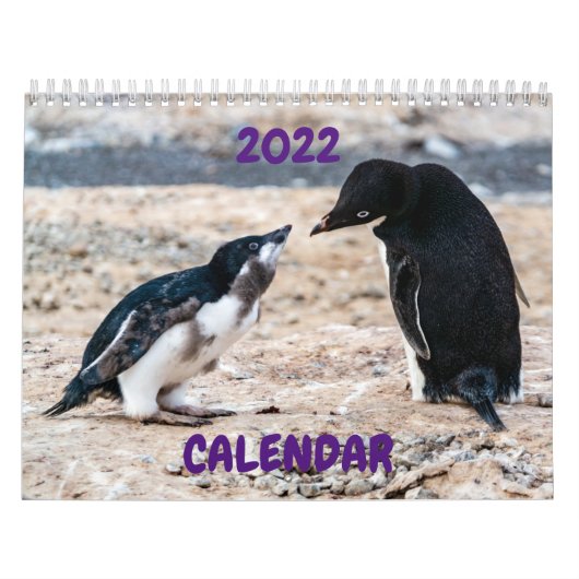 Agenda 2022 - Antarctica Kalender (Hoes)