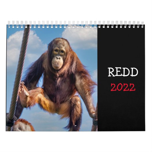 Agenda 2022 opnieuw ingediend kalender (Hoes)