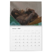 Agenda 2022 opnieuw ingediend kalender (Jan 2027)