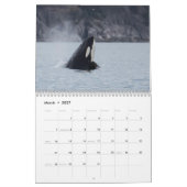 Agenda 2022 Orca Kalender (Mar 2027)