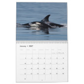 Agenda 2022 Orca Kalender (Jan 2027)
