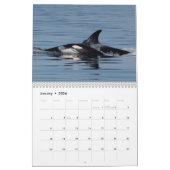Agenda 2022 Orca Kalender (Jan 2026)