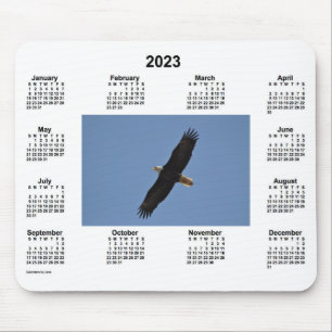 Agenda 2023 Bald Eagle door Janz Muismat