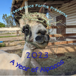 Agenda 2023 - Een jaar van Alpaca's Kalender