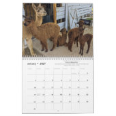 Agenda 2023 - Een jaar van Alpaca's Kalender (Jan 2027)
