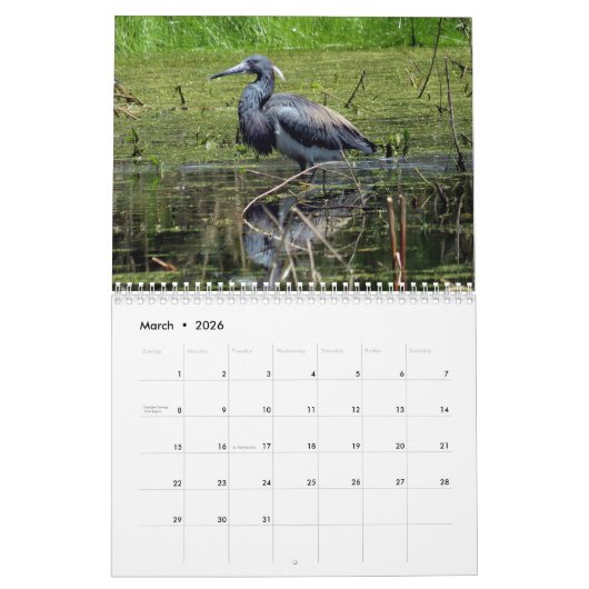 Agenda 2023 Egrets and Herons 2 Kalender (Mar 2026)