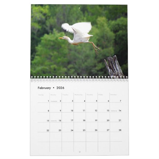 Agenda 2023 Egrets and Herons 2 Kalender (Feb 2026)