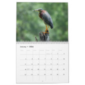 Agenda 2023 Egrets and Herons 2 Kalender (Jan 2026)
