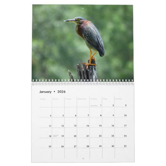 Agenda 2023 Egrets and Herons 2 Kalender (Jan 2026)