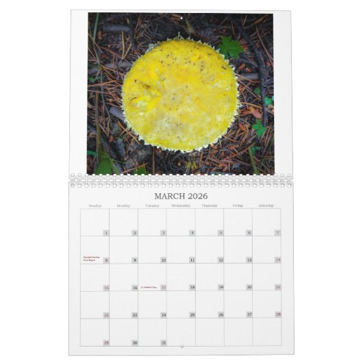 Agenda 2023 - Eric en Kenna-foto's Kalender (Mar 2026)